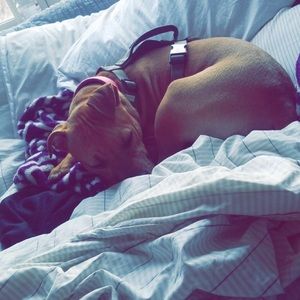 Meet your Posher, Claudia